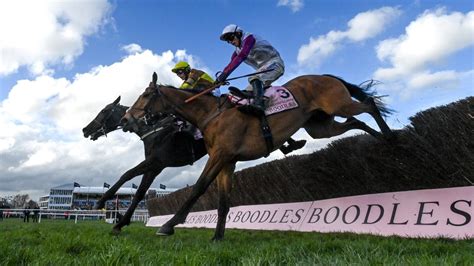 cheltenham tips for friday